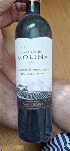 Maipo-vallei Maipo Central Castillo de Molina Reserva 2019