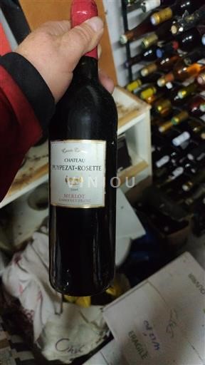 Bordeaux Bordeaux Supérieur Château Puypezat-Rosette 2009