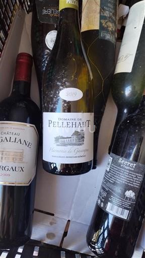Sud-Ovest Côtes de Gascogne Domaine Pellehaut Harmonie de Gascogne 2019