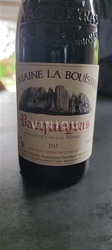 Valle del Rodano Vacqueyras Domaine La Bouïssiere 2015
