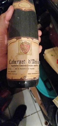 Vale do Loire Cabernet-d'Anjou EARL Bouleau Não Sazonado