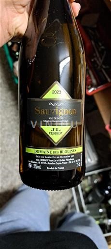 Vallée de la Loire Val de Loire Domaine Des Blouines JL Cesbron 2023