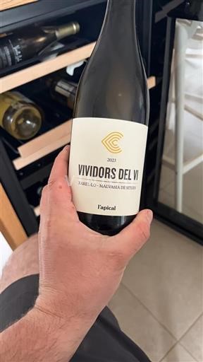 Vin Blanc sec Vividors del Vi L'apical 2023 Espagne Catalogne DO