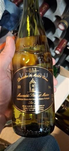 Valle della Loira Muscadet Sèvre et Maine Domaine Moulin Camus Sur Lie 2023