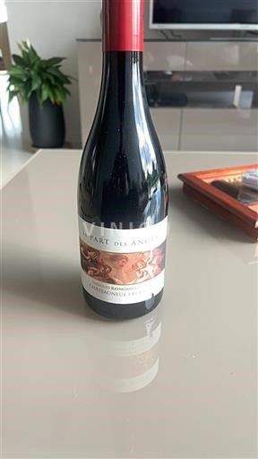 Valle del Rodano Châteauneuf-du-Pape Usseglio Raymond et Fils La Part des Anges 2020