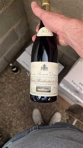 Borgoña No especificado Premier Cru Bernard Delagrange 2022