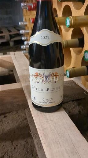Beaujolais Côte-de-brouilly Benoît Lafont Les Deux Fils 2022
