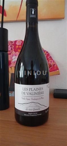 Linguadoca e Rossiglione Paese d'Oc Les Plaines De Valinière Le vieux Grenache 2023