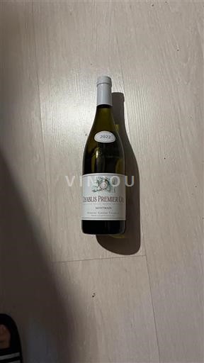 Borgogna Chablis Premier Cru Premier Cru Domaine Gérard Tremblay Montmain 2022
