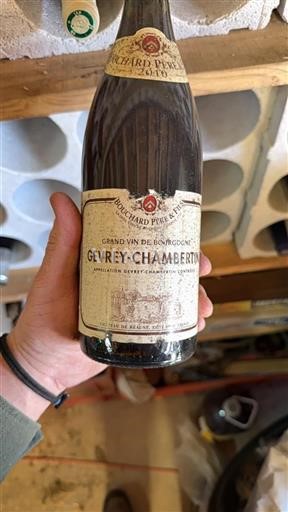 Burgundsko Gevrey-Chambertin Bouchard Père & Fils 2010