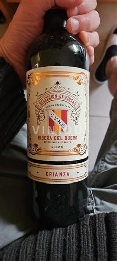 Castela e Leão Ribera del Duero C.V.N.E Crianza 2020