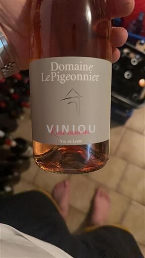 Loirevallei Niet gespecificeerd Domaine Le Pigeonnier 2023