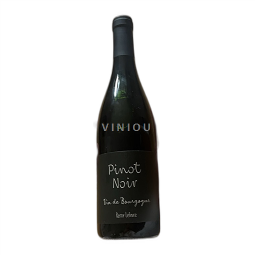 Bourgogne Rémy Lefeuvre 2021