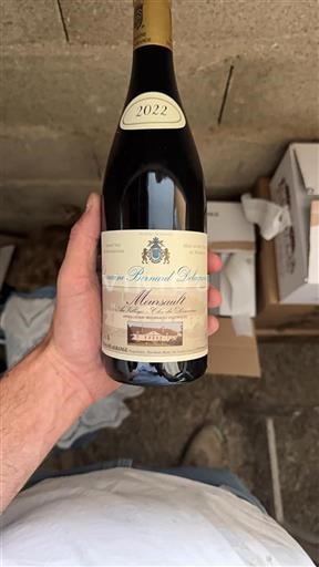 Borgoña Meursault Bernard Delagrange 2022