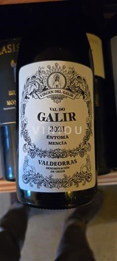 Galice Valdeorras Virgen del Galir Éntoma 2021