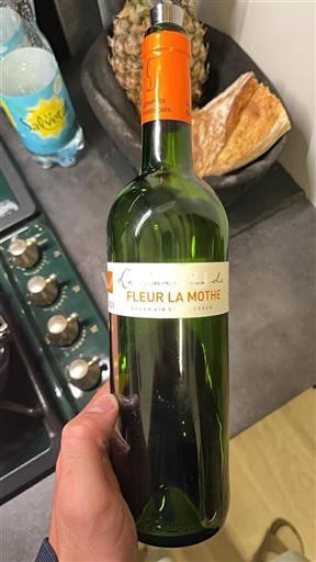 Bordeaux Unspecified Château Fleur La Mothe Le Jardin de 2020