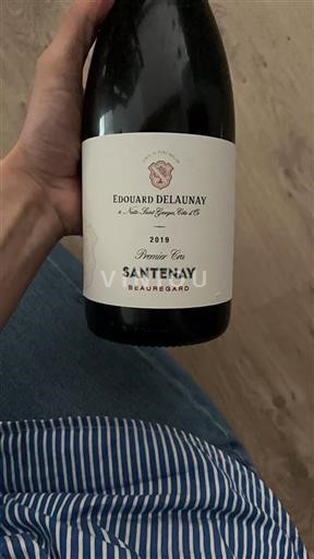 Bourgogne Santenay Premier Cru Edouard Delaunay Beauregard 2019