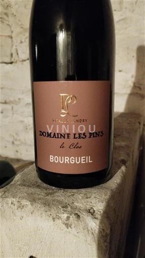 Vin Rouge sec Le Clos Domaine Les Pins 2019 France Vallée de la Loire Bourgueil AOC