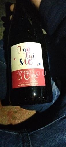 Valle del Loira Saumur-Champigny Domaine La Cune Fantaisie 2022