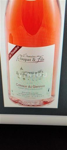Valle della Loira Coteaux-du-giennois Domaine Poupat & Fils Le Trocadéro 2023