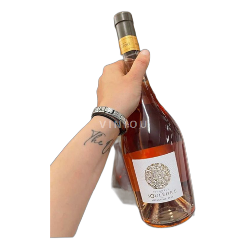 Údolí Rhôny Côtes-du-Rhône Vignerons de Souledre 2023