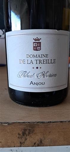 Loire Valley Anjou Domaine La Treille Thibaut Henrion 2015