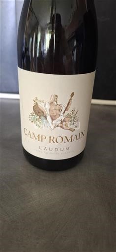 Valle del Rodano Non specificato Camp Romain 2019