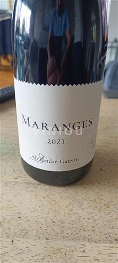 Bourgogne Maranges Alexandre Gauvin 2023