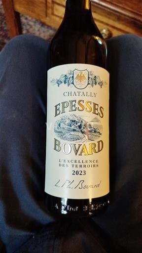 Vaud Ni doloceno Bovard Chatally 2023