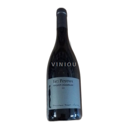 Loiredalen Saumur-champigny Le petit saint vincent Les Poyeux 2021