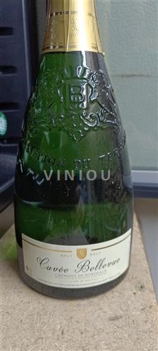 Bordeaux Crémant di Bordeaux Picoin Bellevue Bellevue Senza annata
