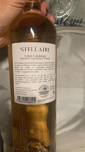 Linguadoca e Rossiglione Côtes catalanes Arnaud de Villeneuve Stellaire Senza annata
