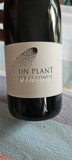 Vallée de la Loire Muscadet Un Plant Sur La Comète Non Millésimé