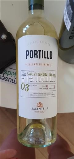 Mendoza Vale de Uco Salentein Portillo 2022