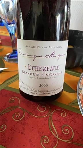 Bourgogne Échézeaux Grand Cru Dominique Mugneret En Orveaux 2009
