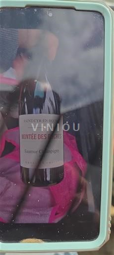 Loire Valley Saumur-Champigny Arnaud Lambert Montée des Roches 2021
