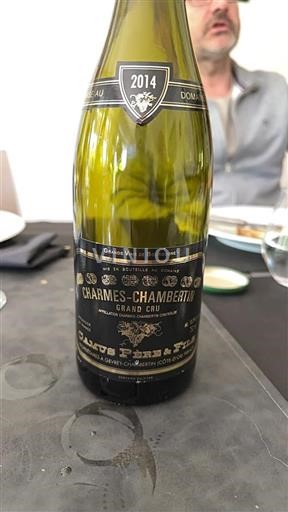 Bourgogne Charmes-chambertin Grand Cru Camus Père & Fils 2014