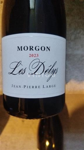 Beaujolais Morgon Jean-Pierre Large Les Délys 2023