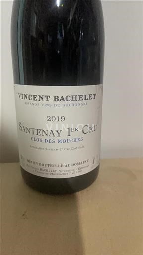 Bourgogne Ikke specificeret Premier Cru Vincent Bachelet Clos des Mouches 2019