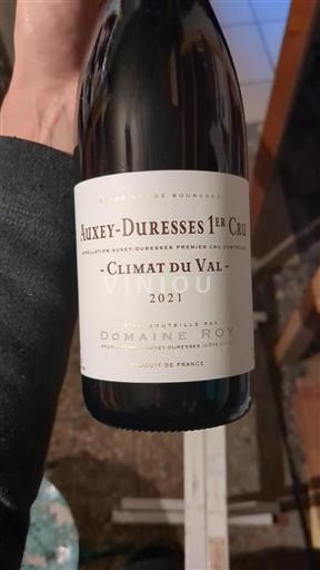 Bourgogne Ikke specificeret Premier Cru Domaine Roy Climat du Val 2021
