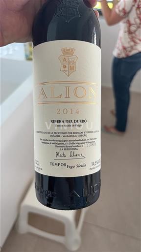 Castille et León Ribera del Duero Bodegas y Viñedos Alión Alión 2014