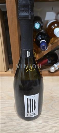 Veneto Prosecco Fiol Non-Vintage