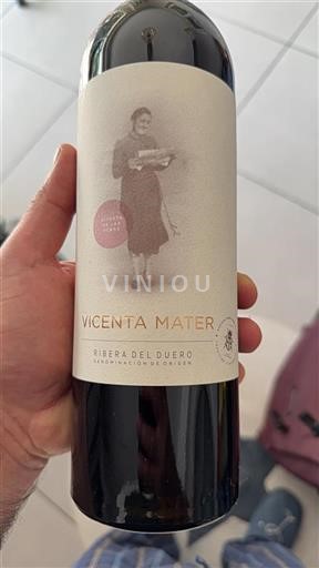 Vin Rouge sec Vicenta Mater 2017 Espagne Castille et León Ribera del Duero
