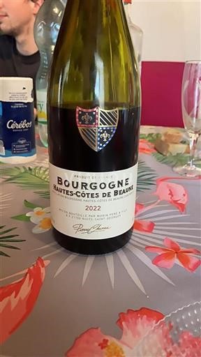 Vin Rouge sec Pierre Chavau 2022 France Bourgogne Hautes Côtes de beaune