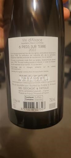 Alsazia Grand Cru Geschickt 6 Pieds Sur Terre 2022