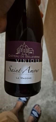 Beaujolais Saint-Amour Château Belleverne La Madone Icke årgångsbetecknad
