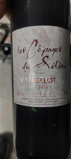 Linguadoca e Rossiglione Paese d'Oc Les Cépages du Silène Merlot 2016