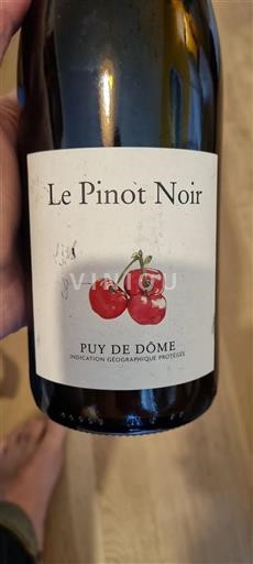 Vin Rouge sec Le Pinot Noir 2023 France Vallée de la Loire Puy-de-Dôme IGP