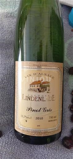 Alsace Grand Cru Jacques Lindenlaub Pinot Gris 2010
