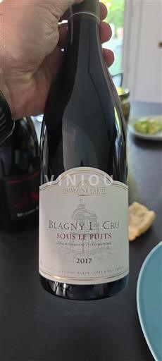 Burgund Nicht spezifiziert Premier Cru Domaine Larue Sous le Puits 2017